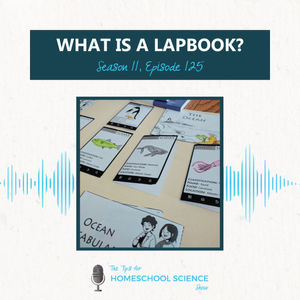 Ep 125 - What are lapbooks?