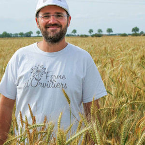 291 Adrien Pelletier - Why all farmers or most farmers need to become seed breeders again