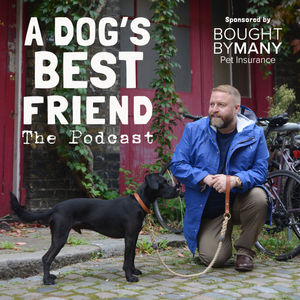 Ep 46 - Does day-care suit your dog?