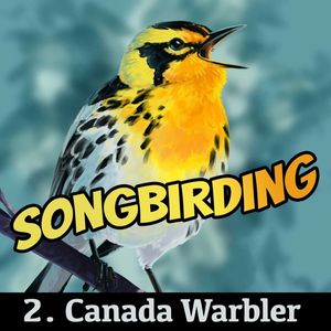 Songbirding: A Birding-by-ear Podcast