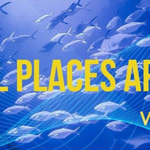 All places are fish places