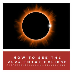 How to View the 2024 Total Solar Eclipse
