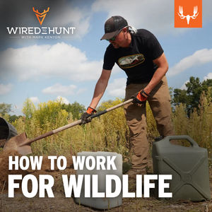 Ep. 775: How to Work for Wildlife with Chris Borgatti and Matt Ross